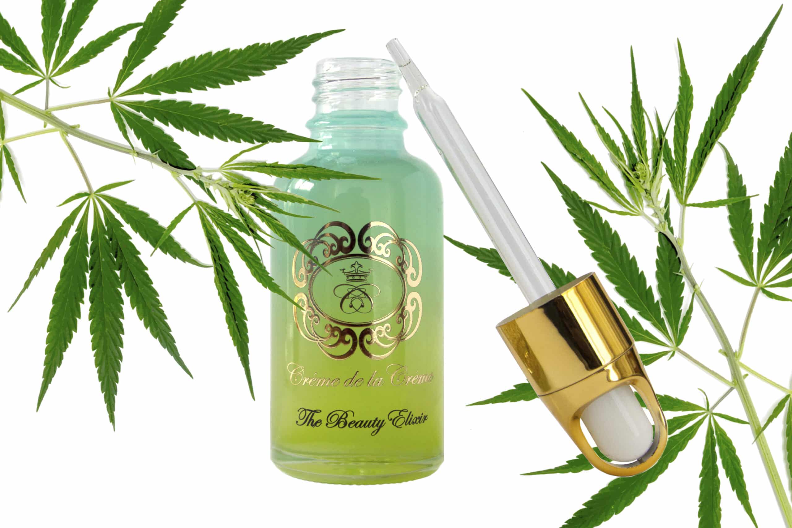 skincare Sherwood Park Alberta Winter Skin, glass bottle with hemp infused face oil, gold dropper and cannabis leaves in background