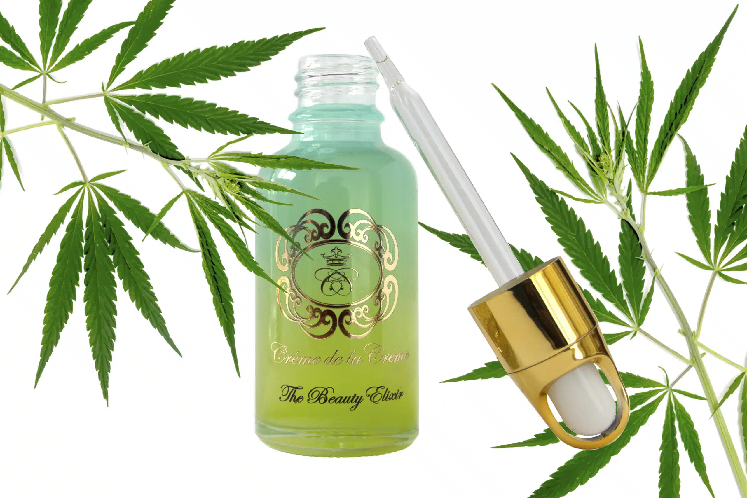 Winter Skin, glass bottle with hemp infused face oil, gold dropper and cannabis leaves in background